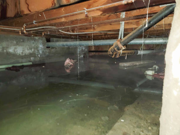 Best Water damage cleanup near me  in Foster City, CA
