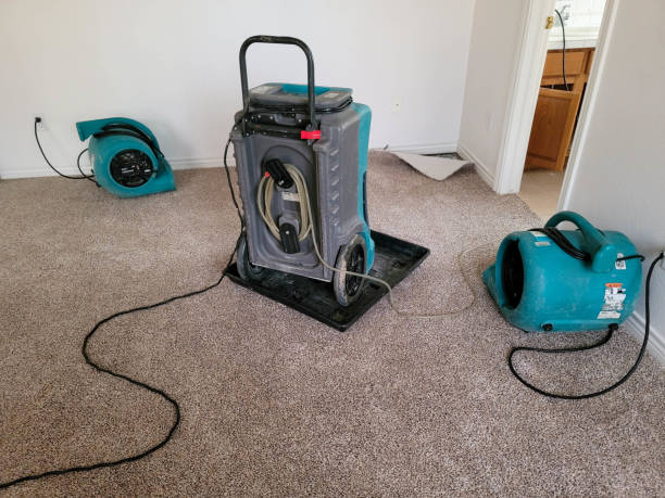 Best Mold removal after water damage  in Foster City, CA