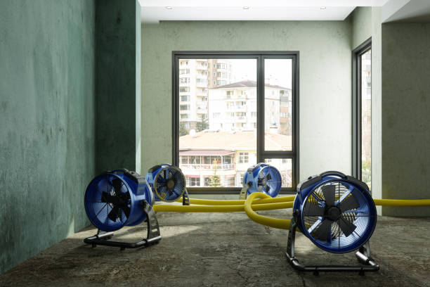 Best Flood restoration services  in Foster City, CA